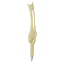 Caneta Anatomia Ossos Joelho (Fêmur, Tíbia e Fíbula) Esferográfica - Creme Caneta Anatomia Ossos Joelho (Fêmur, Tíbia e Fíbula) Esferográfica - Creme
