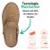 Babuche Boa Onda Urban Feminino - Canela Gold